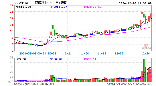 麒盛科技