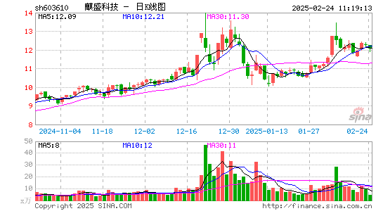 麒盛科技