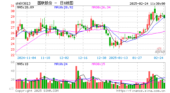 国联股份