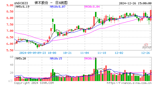 徕木股份