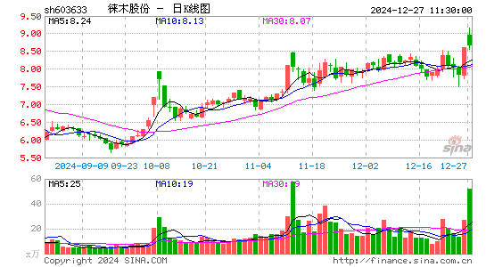 徕木股份