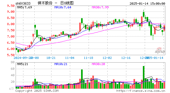 徕木股份