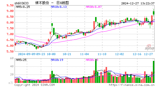 徕木股份