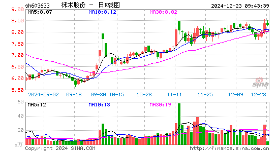 徕木股份