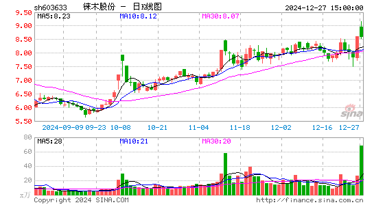 徕木股份