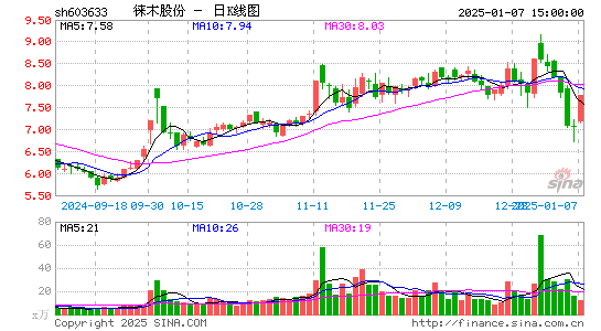 徕木股份