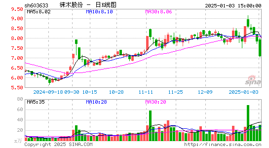 徕木股份