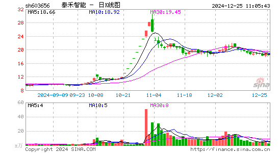 泰禾智能