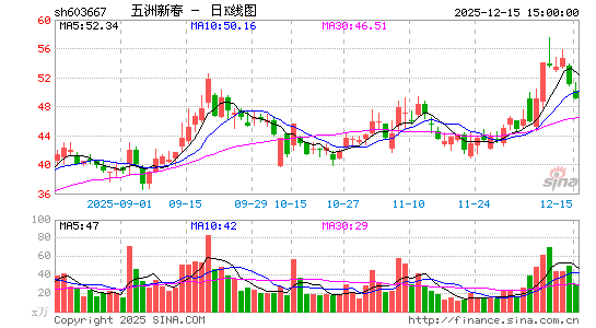 �����´�