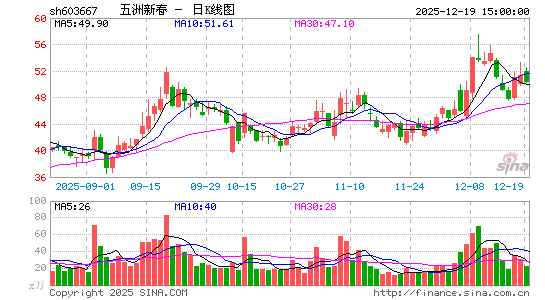 �����´�