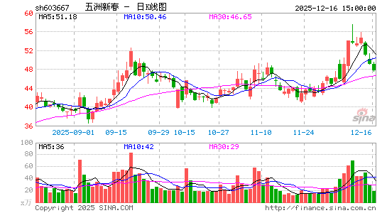 �����´�