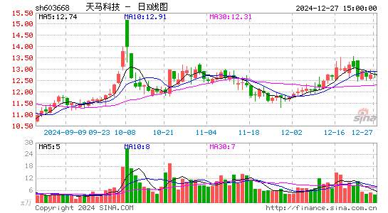 天马科技