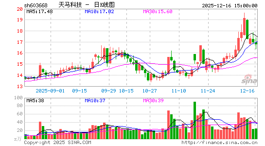 �����Ƽ�