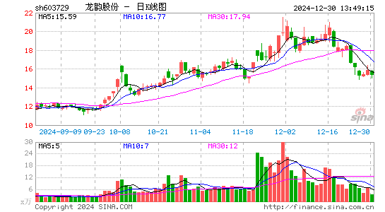 龙韵股份