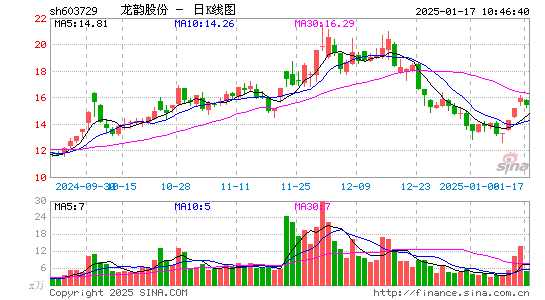 龙韵股份