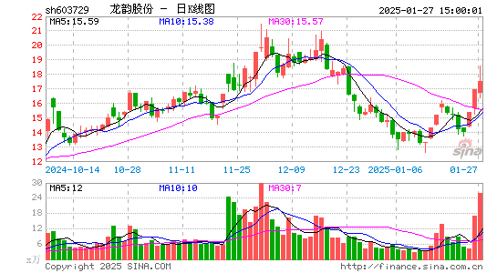 龙韵股份