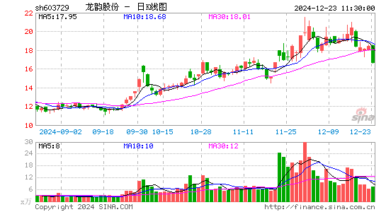 龙韵股份