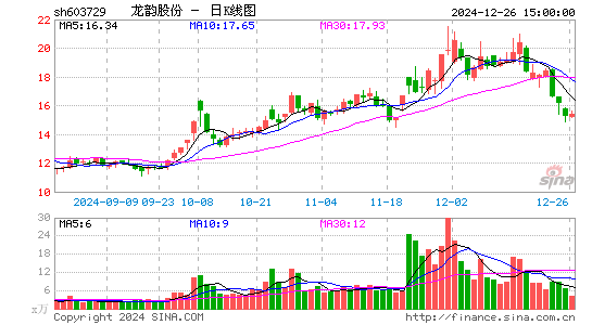 龙韵股份