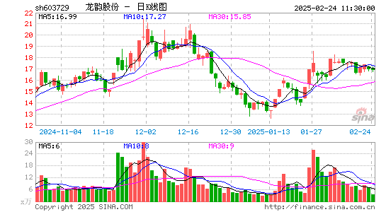 龙韵股份