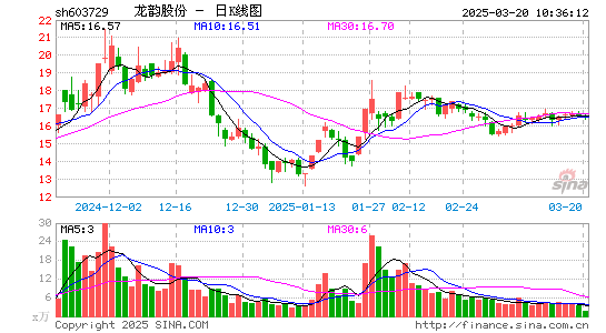 龙韵股份