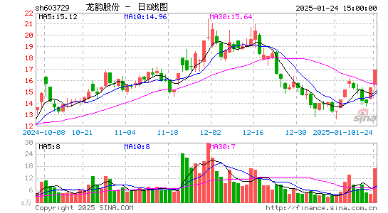 龙韵股份