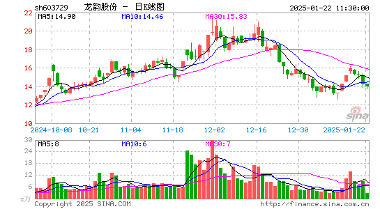 龙韵股份