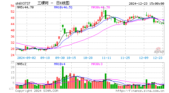 三棵树