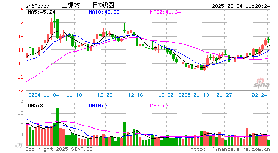 三棵树