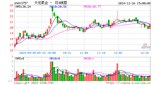 大元泵业