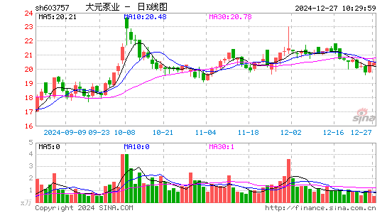 大元泵业