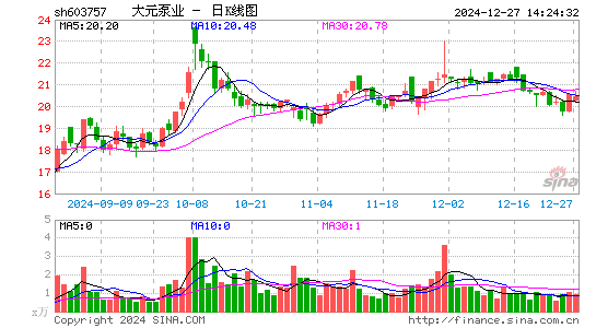 大元泵业