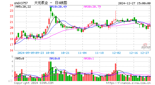 大元泵业