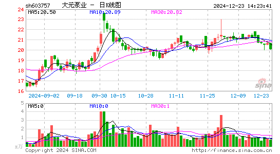 大元泵业