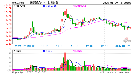 秦安股份