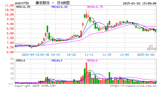 秦安股份