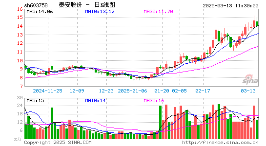 秦安股份