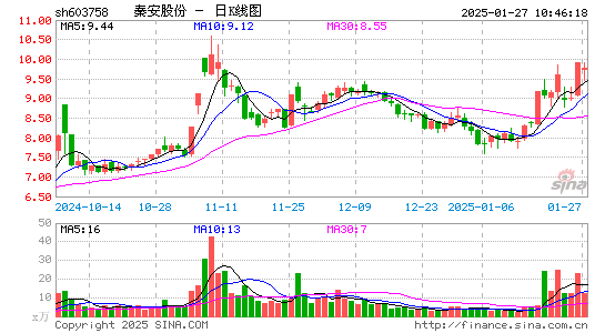 秦安股份