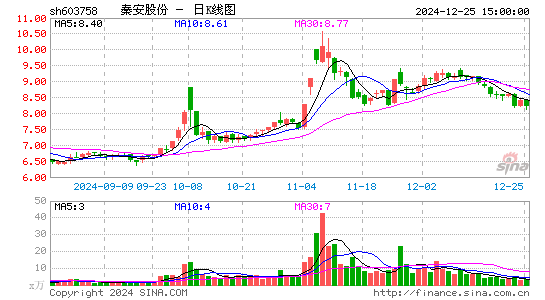 秦安股份