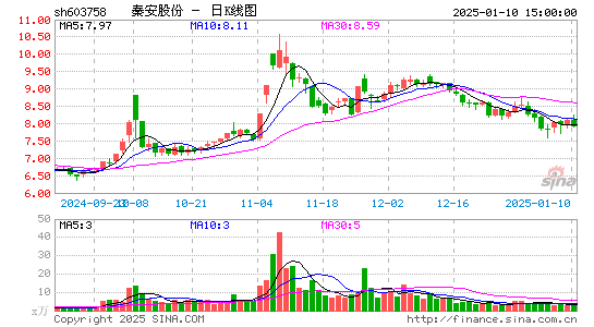 秦安股份