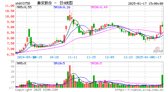 秦安股份