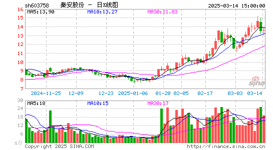 秦安股份