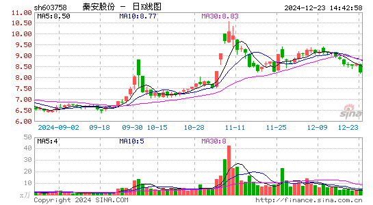 秦安股份