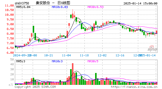 秦安股份