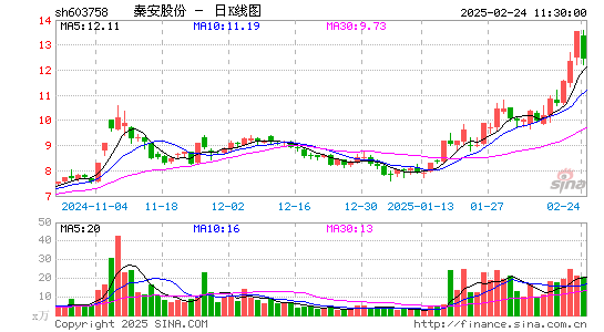 秦安股份