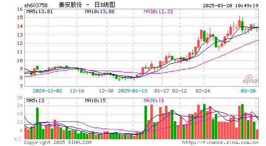 秦安股份