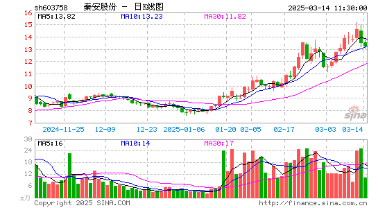 秦安股份