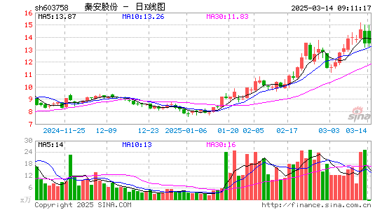 秦安股份