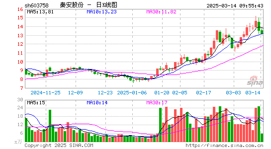 秦安股份