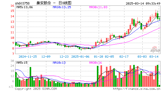 秦安股份