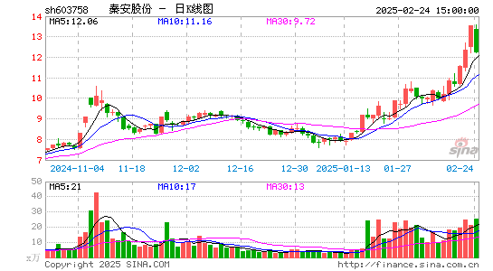 秦安股份